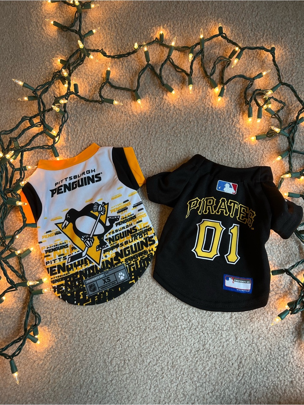 Pittsburgh Penguins & Pittsburgh Pirates Pet Dog Shirts! Never worn! Size S XS
